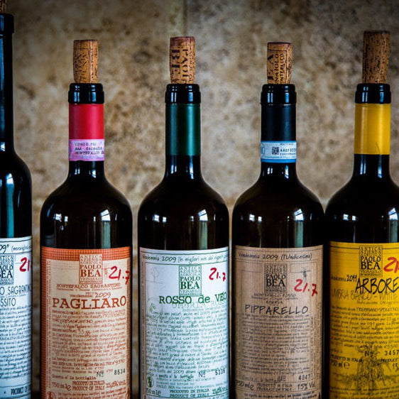 New Vintages of Paolo Bea